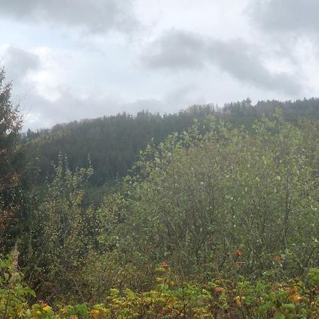 Fewo Berg Idyllika Willingen  Exterior photo