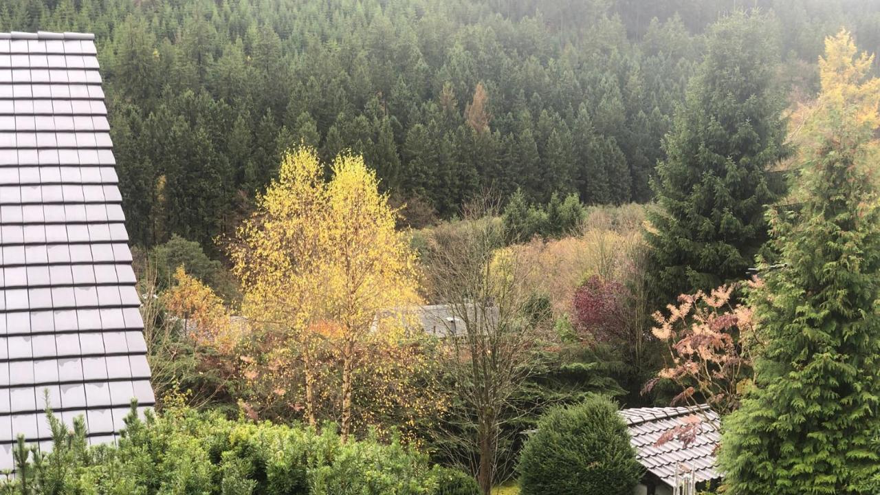 Fewo Berg Idyllika Willingen  Exterior photo